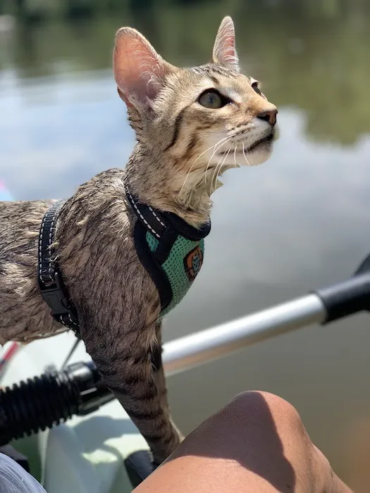 Hartford Animal Clinic Picture 3