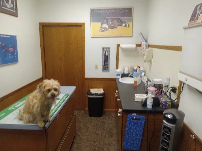 Animal Doctors Picture 3