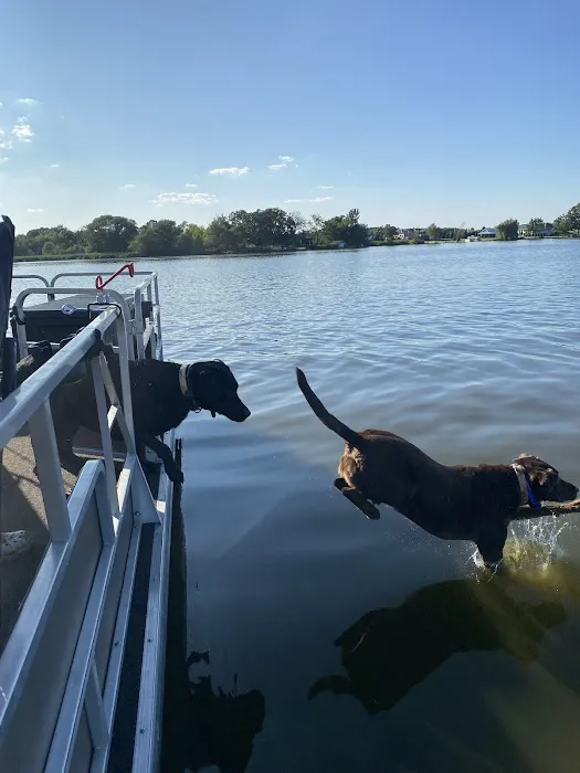 Animal Doctors Picture 7