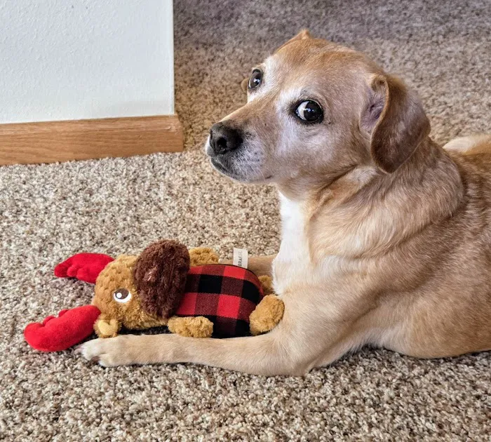 Animal Health Center Picture 1