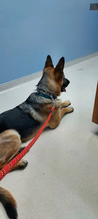 Animal Health Center Picture 2