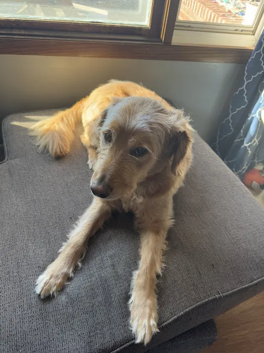 Animal Health Center Picture 4