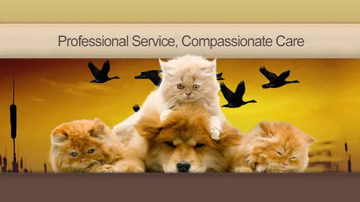 Animal Health Center Picture 9