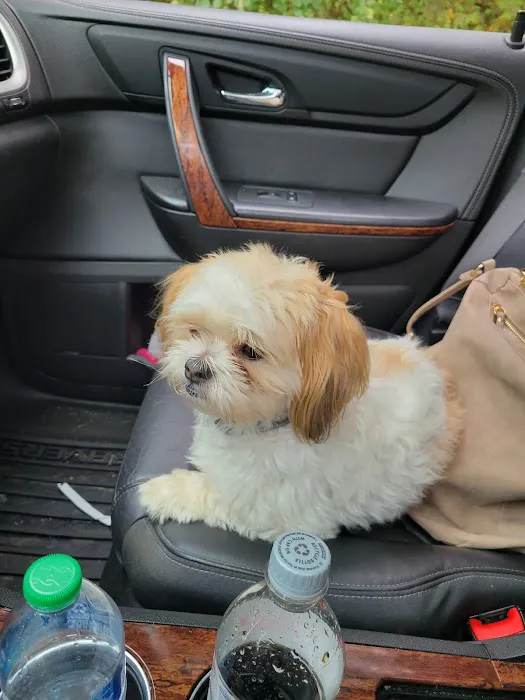 Kewaskum Veterinary Clinic Picture 1