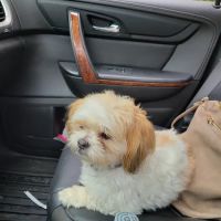 Kewaskum Veterinary Clinic ico