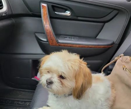 Kewaskum Veterinary Clinic