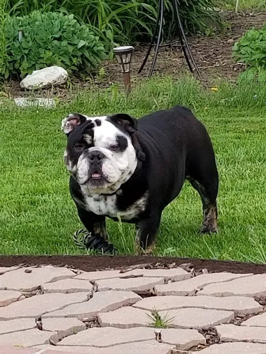 Kewaskum Veterinary Clinic Picture 6