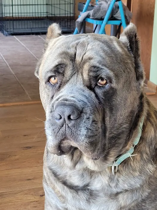 Kewaskum Veterinary Clinic Picture 2