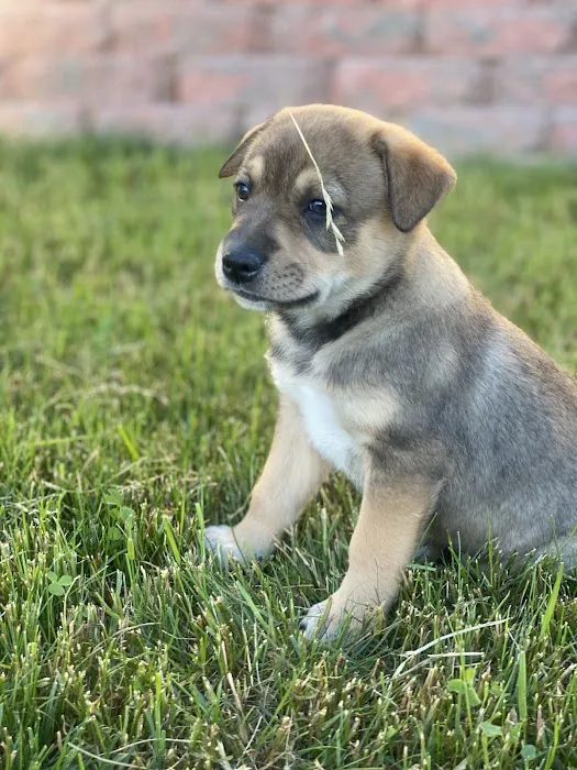 Kewaskum Veterinary Clinic Picture 4