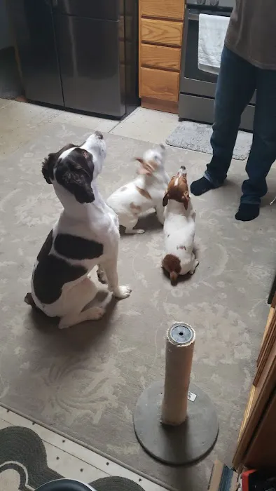 Kewaskum Veterinary Clinic Picture 3