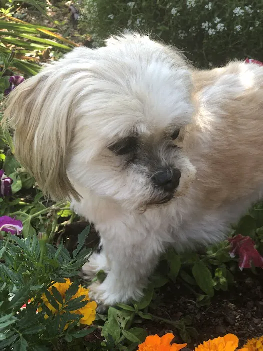 Kewaskum Veterinary Clinic Picture 5