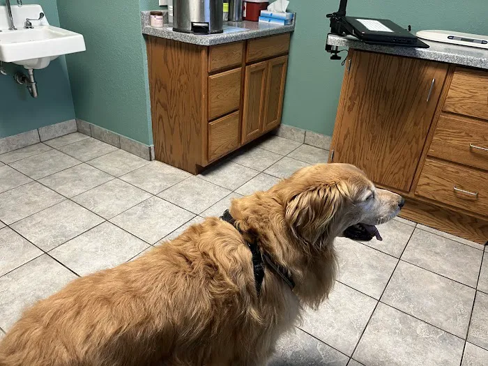 Kewaskum Veterinary Clinic Picture 10