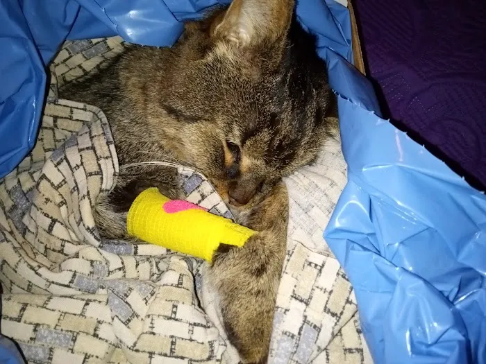 Kewaskum Veterinary Clinic Picture 8