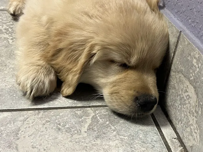 Kewaskum Veterinary Clinic Picture 9