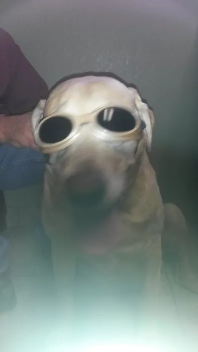 Dr. Nicholas Wagner, DVM Picture 2