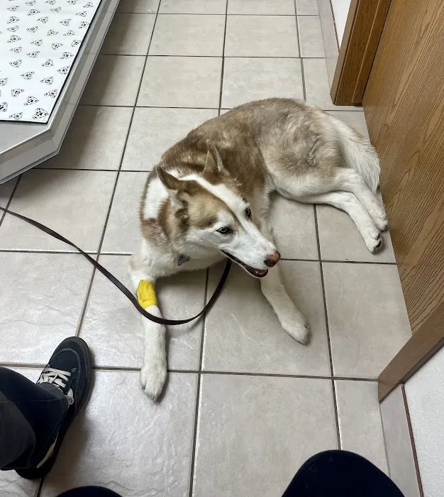 Casserly Veterinary Services Picture 3