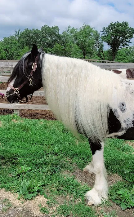 Casserly Veterinary Services Picture 1