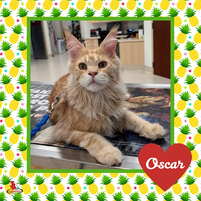 Oconomowoc Animal Hospital Picture 3