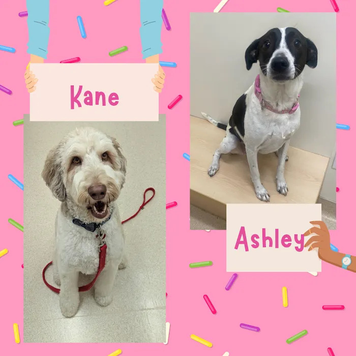 Oconomowoc Animal Hospital Picture 4