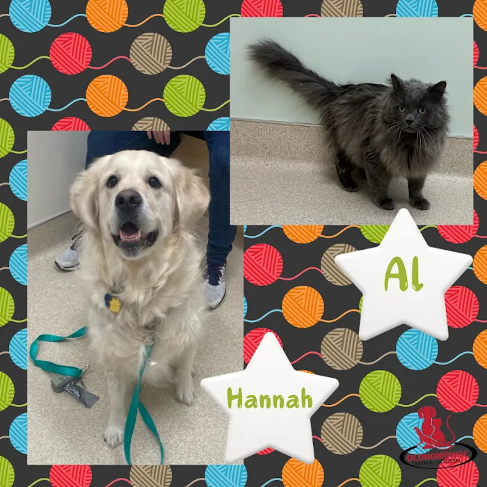 Oconomowoc Animal Hospital Picture 5