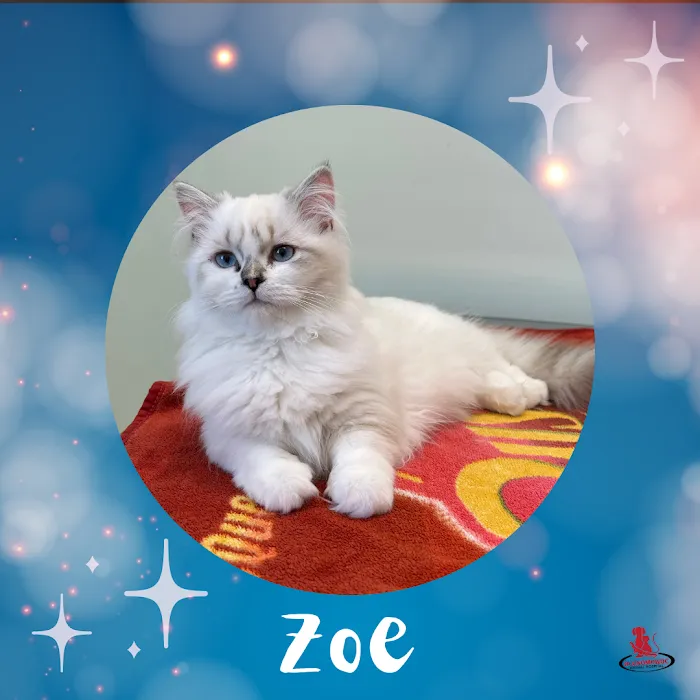 Oconomowoc Animal Hospital Picture 6