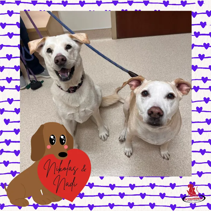 Oconomowoc Animal Hospital Picture 10