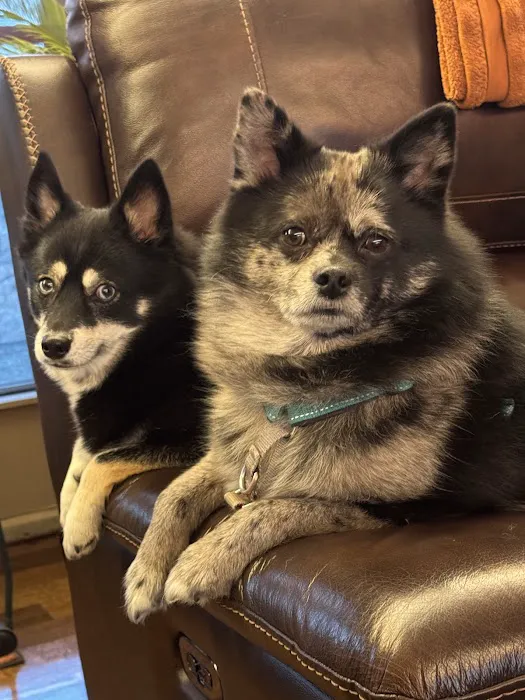 Animal Urgent Care of Oconomowoc Picture 1