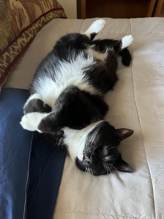 Northside Animal Hospital Picture 2