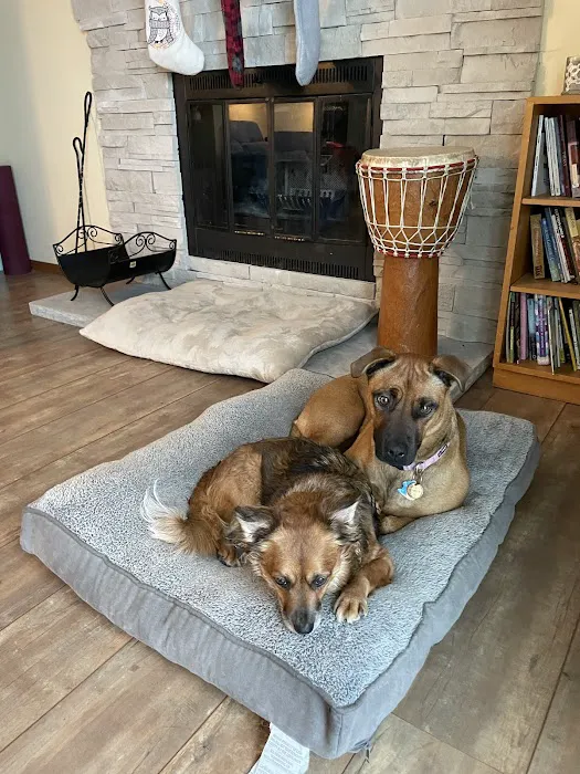 Northside Animal Hospital Picture 5