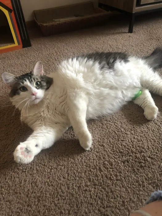 Northside Animal Hospital Picture 3