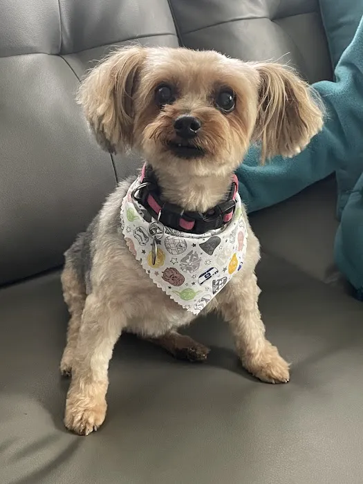 Northside Animal Hospital Picture 10