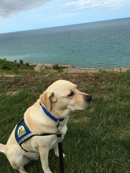 Northside Animal Hospital Picture 9