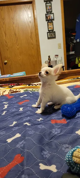 Countryside Animal Clinic Picture 1