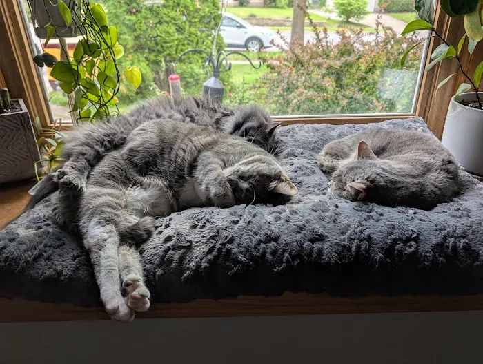 Countryside Animal Clinic Picture 3