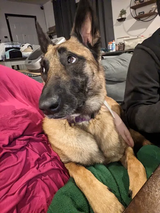 Sondel Family Veterinary Clinic Picture 1