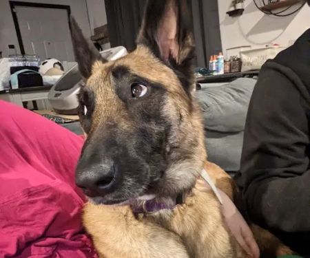 Sondel Family Veterinary Clinic