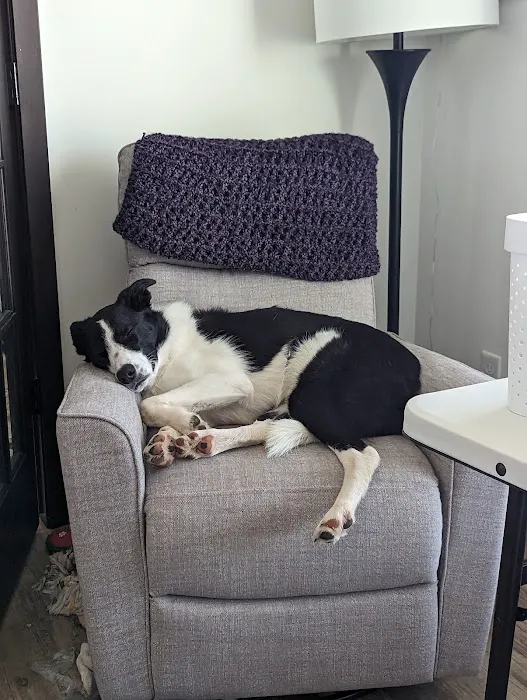 Sondel Family Veterinary Clinic Picture 3