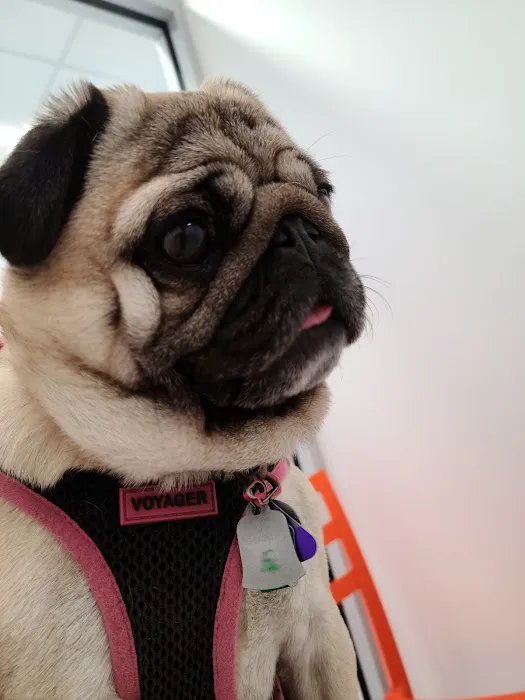 Sondel Family Veterinary Clinic Picture 7