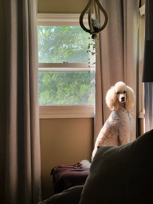 Sondel Family Veterinary Clinic Picture 8