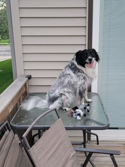 Sondel Family Veterinary Clinic Picture 6