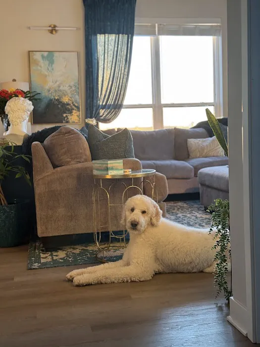 Sondel Family Veterinary Clinic Picture 5