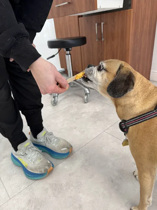 Sondel Family Veterinary Clinic Picture 9