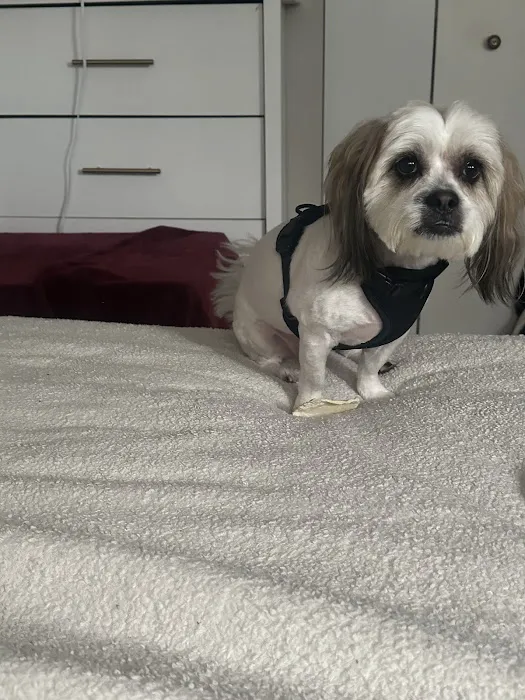 Banfield Pet Hospital Picture 3