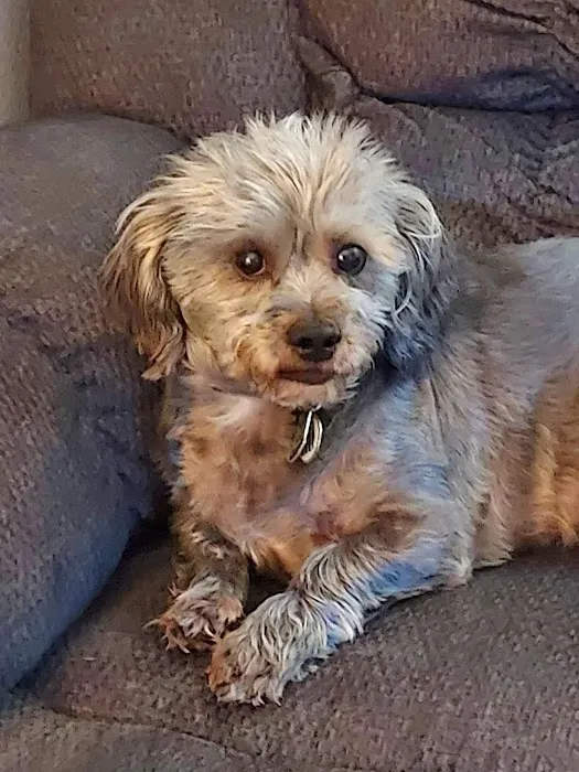 Banfield Pet Hospital Picture 9