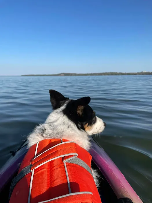 And Dogs Too Veterinary Clinic Picture 9