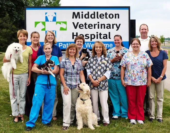 Middleton Veterinary Hospital Picture 3