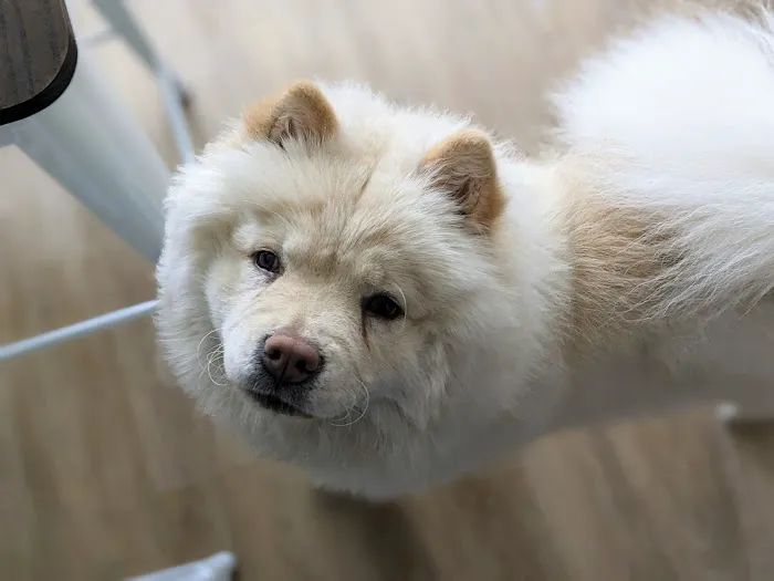 Middleton Veterinary Hospital Picture 4