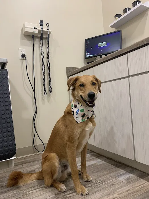 Middleton Veterinary Hospital Picture 10