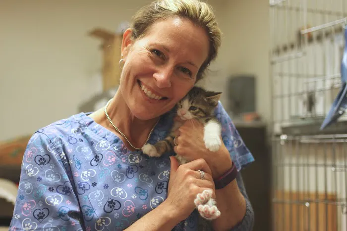 The Comfort Vet Picture 1