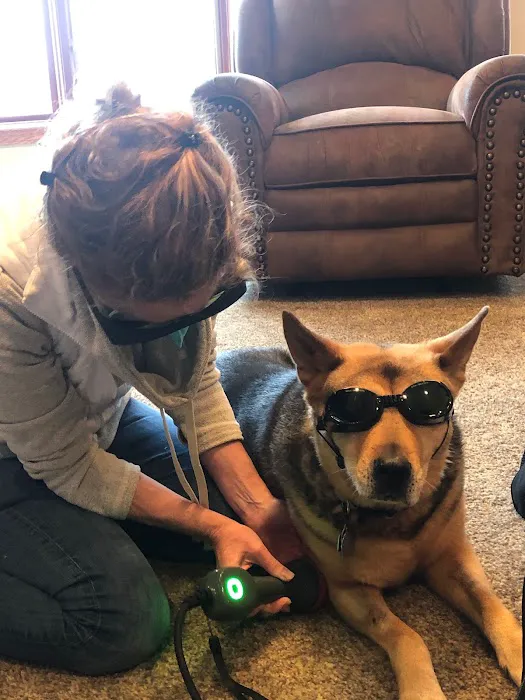 The Comfort Vet Picture 6